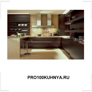 PRO100KUHNYA.RU PRO100KUHNYA.RU